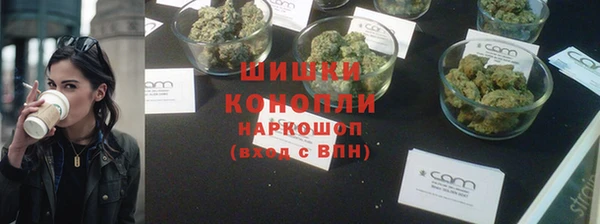 прущие крисы Надым