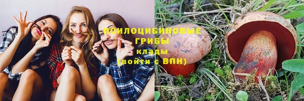 прущие крисы Надым