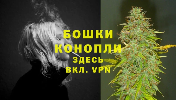 прущие крисы Надым