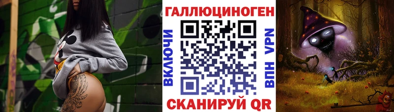 Галлюциногенные грибы Psilocybine cubensis  Елец 