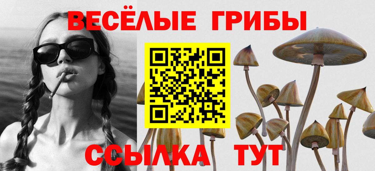 Псилоцибиновые грибы MAGIC MUSHROOMS  Вход с VPN  Елец 